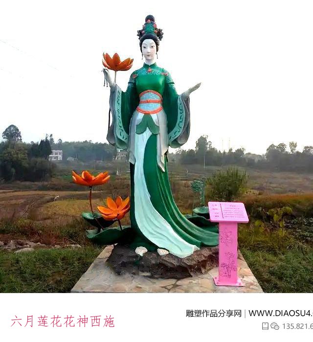 六月莲花花神西施